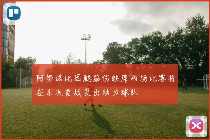阿努诺比因腿筋伤缺席两场比赛将在东决首战复出助力球队